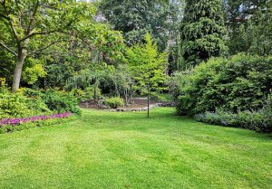 Optimiser l'expérience du jardin à Corneville-sur-Risle